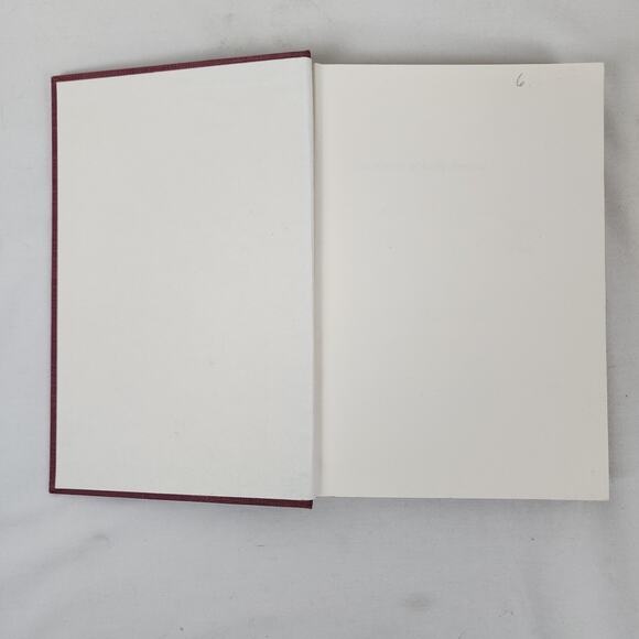 Witches of Early America by Sally S Booth Red Hardcover Occult History Book 1975 - Picture 4 of 11